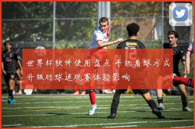 世界杯软件使用盘点 手机看球方式升级对球迷观赛体验影响