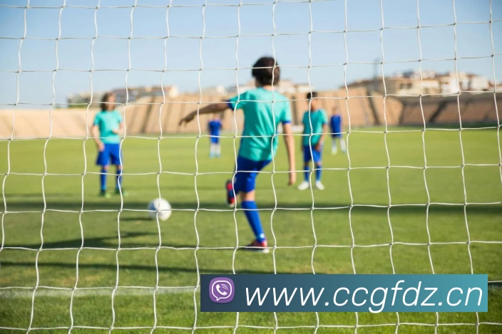 App Interface Preview